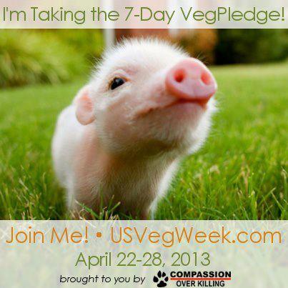 549994_10151254157840895_1303682551_n