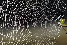 Photo: wikipedia commons