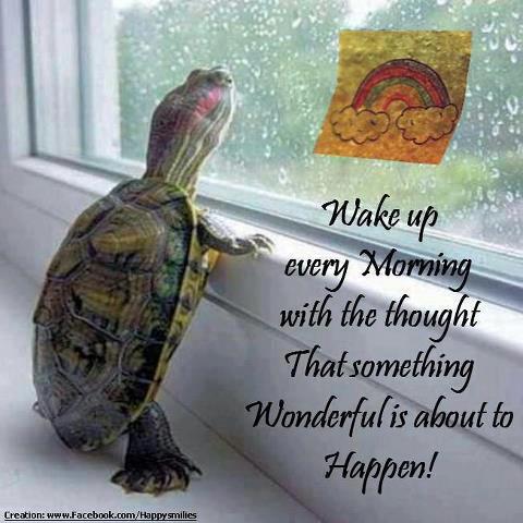 389780_465947996760474_1351227272_n