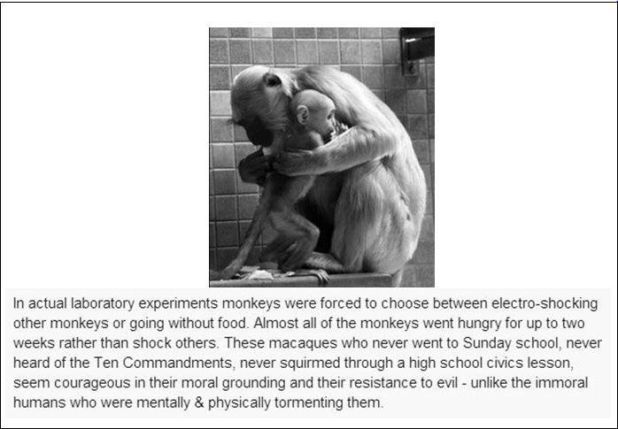 1235299_420196981434754_1007045779_n