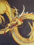 992414_511233302297487_1031742058_n