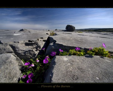 Found_10764992_153120