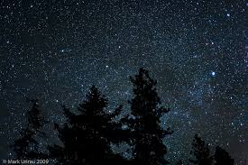 Photo Credit: scienceblogs.com