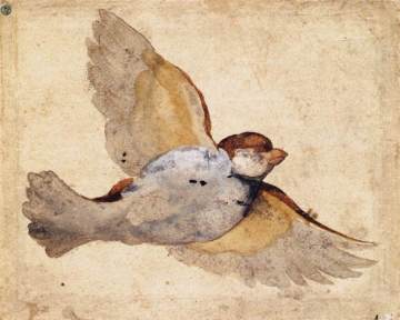 Giovanni_Da_Udine_-_Study_of_a_Flying_Sparrow_-_WGA09431