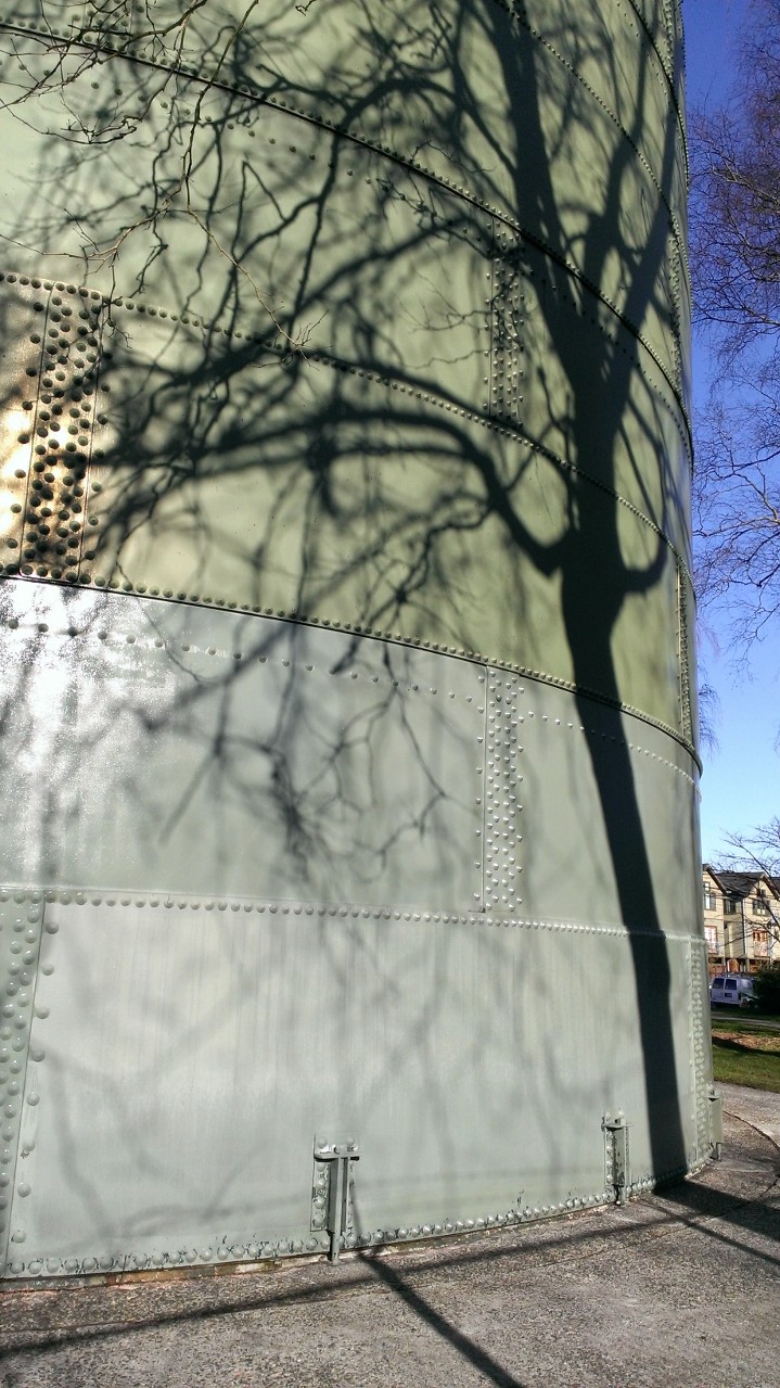 Pointing Towards the Form of Tree by Terri Stewart