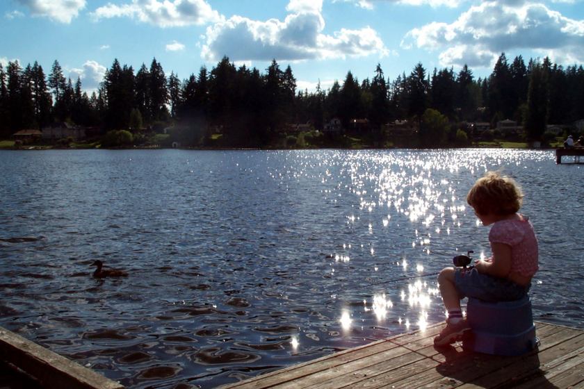 by Terri Stewart CC License (BY-NC)