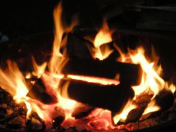 Photo: Terri Stewart Used with Permission