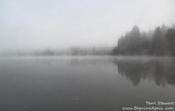 Photo: Terri Stewart Used with Permission