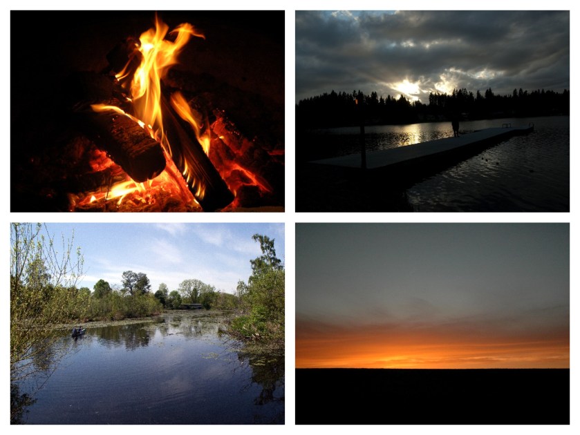 Light Collage by Terri Stewart