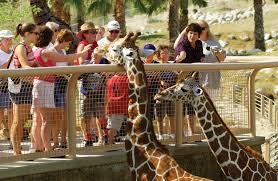 Photo: Palm Springs Life