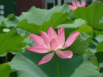 Photo: Terri Stewart Used with permission.