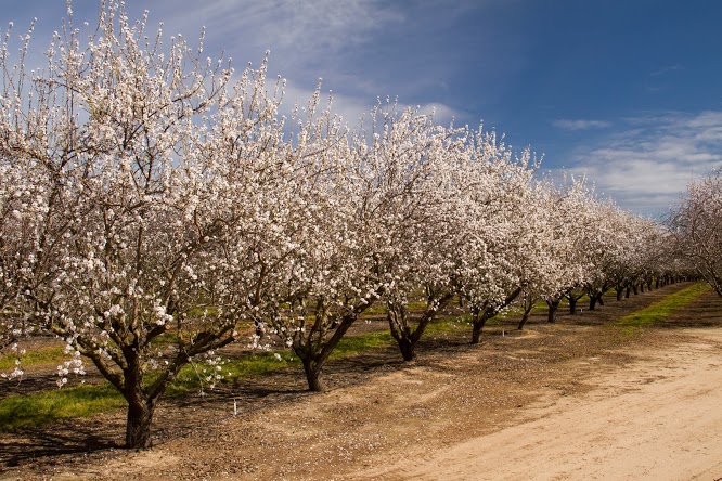 WRA_2012_02_20_2193-edit