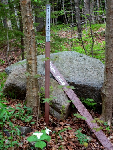 wilderness sign
