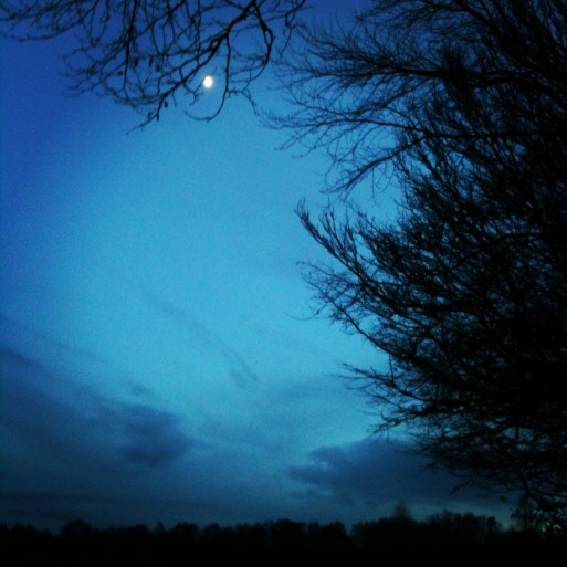 Copyright 2012 John Anstie