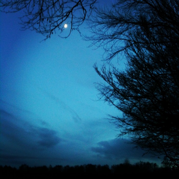 Copyright 2012 John Anstie