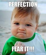 perfection meme