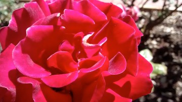 IMG_20140525_103219903