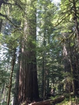 11336046_10152861846190334_1331117147_n-2