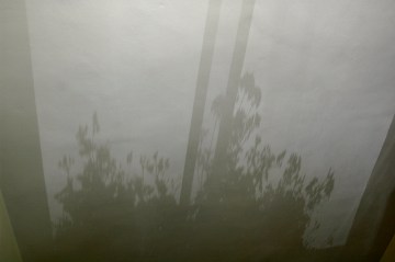 It’s the end of the drive, the night fallen down