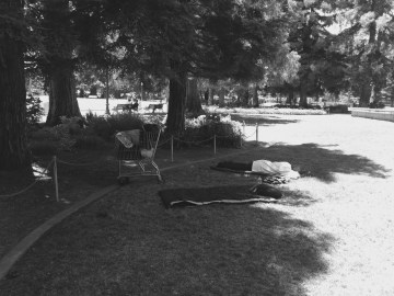 photo credit: Jamie Dedes