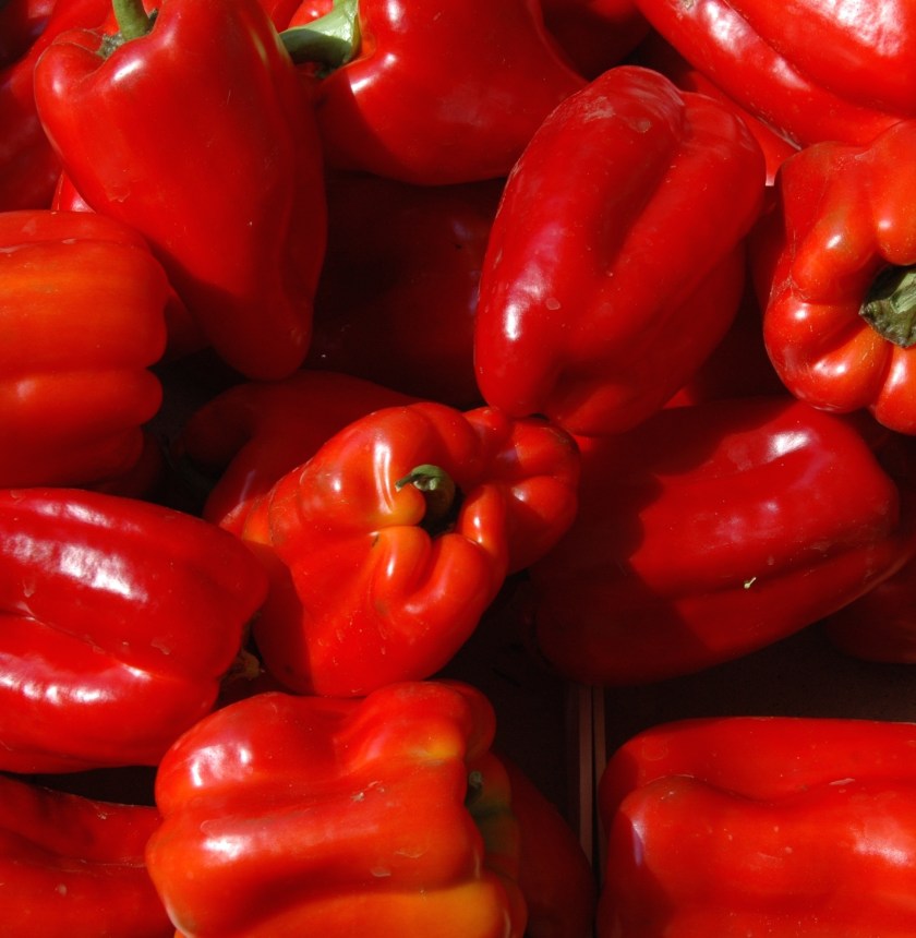 Sweet Reds Salerno, Italy ©2015 Michael Dickel