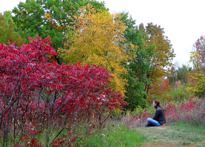 contemplating-colors