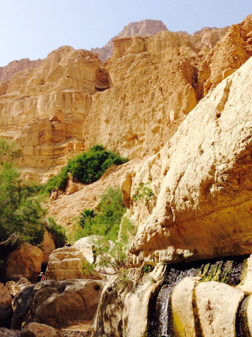 En Gedi — Wadi David Photograph ©2015