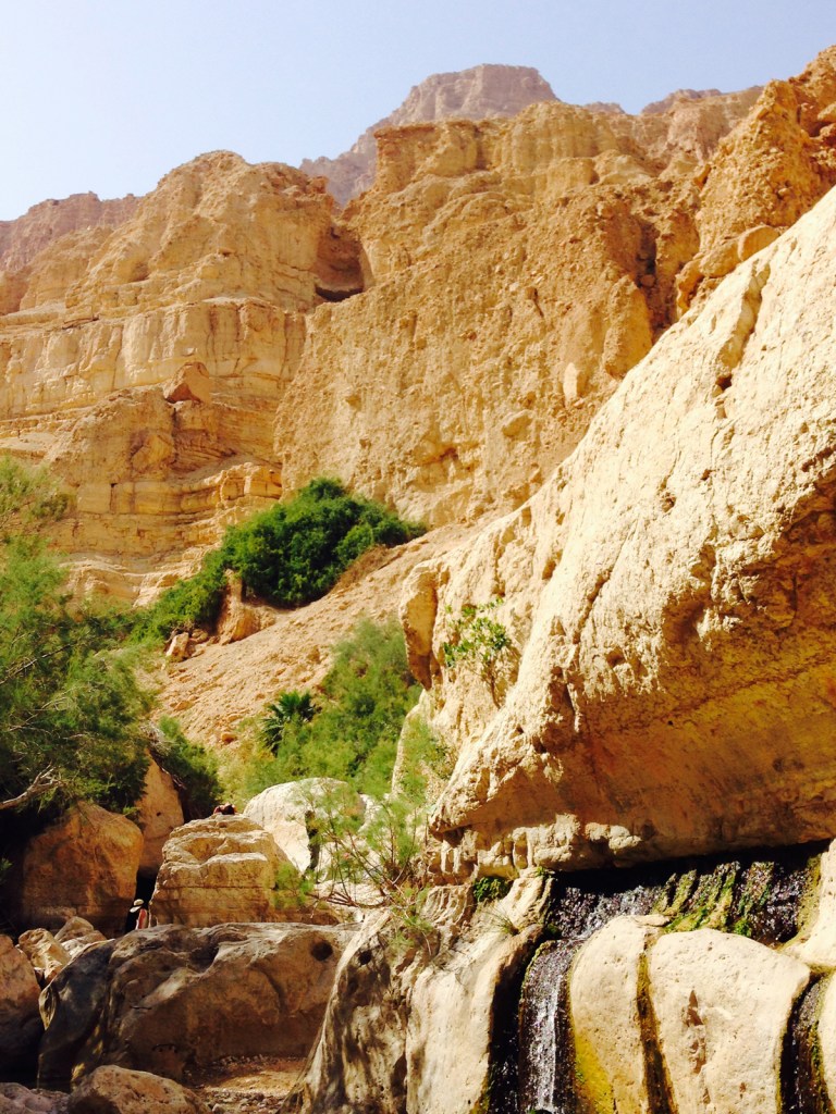 En Gedi — Wadi David Photograph ©2015