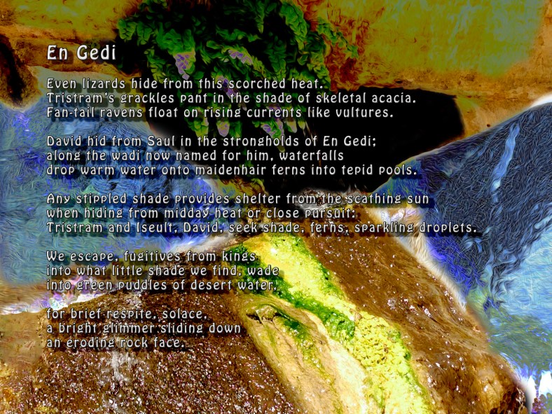 En Gedi Digital Art / Poem ©2014-2016 Michael Dickel