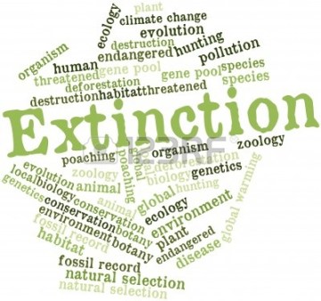 15829985-abstract-word-cloud-for-extinction-with-related-tags-and-terms