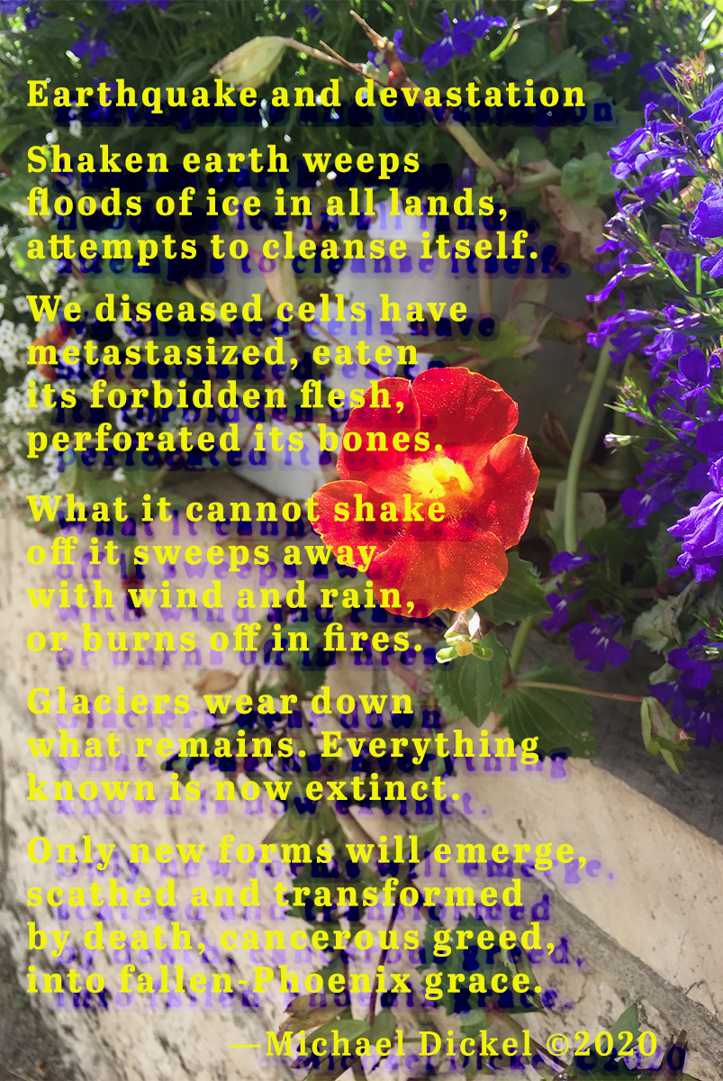 The poem Earthquake and Devastation as graphic art, with a photo of flowers in the background.