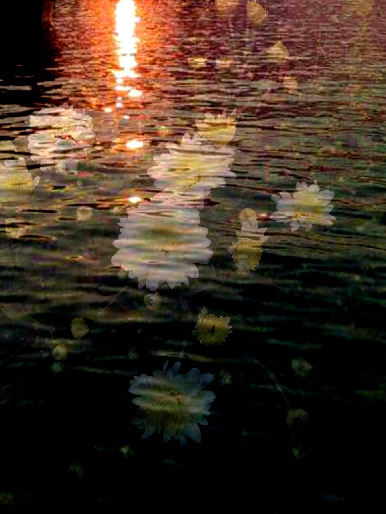 Downstream - Digital Work - Miroslava Panayatova